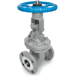 Válvula Gaveta Classe 150
