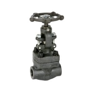 Válvula Globo Forjada Classe 800 SW 1"